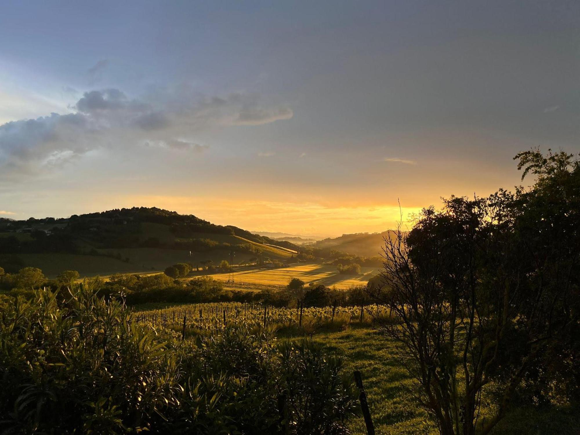 Agriturimo Ca Dorale Villa Fano Dış mekan fotoğraf
