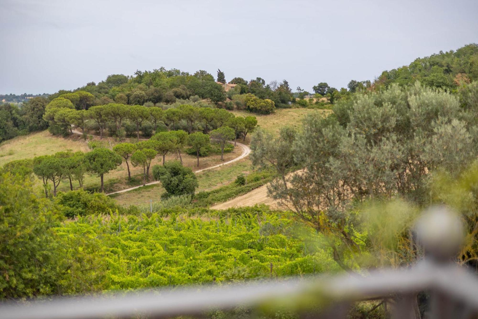 Agriturimo Ca Dorale Villa Fano Dış mekan fotoğraf